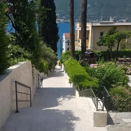 Danica Podgorica